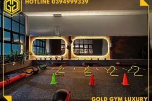 TRIỂN KHAI PHẦN MỀM GYM MODUN CHO GOLD GYM TẠI GIA LAI, PLEIKU