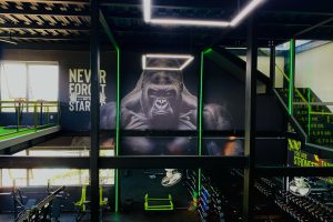 TRIỂN KHAI PHẦN MỀM GYM MODUN CHO GREENFIT FITNESS CENTER TẠI KONTUM