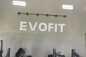 TRIỂN KHAI PHẦN MỀM GYM MODUN CHO EVOFIT TẠI ĐỒNG NAI