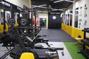 TRIỂN KHAI PHẦN MỀM GYM MODUN CHO THE FIGHTER TẠI CẦN THƠ