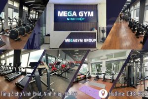 TRIỂN KHAI PHẦN MỀM GYM MODUN CHO MEGA GYM NINH HIỆP