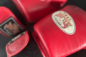 TRIỂN KHAI PHẦN MỀM BOXING MODUN CHO CÂU LẠC BỘ ĐÔNG Ý