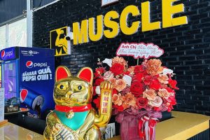 TRIỂN KHAI PHẦN MỀM GYM MODUN CHO GYM MUSCLE 2