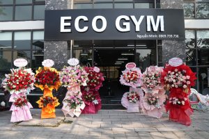 TRIỂN KHAI PHẦN MỀM GYM MODUN CHO ECO GYM