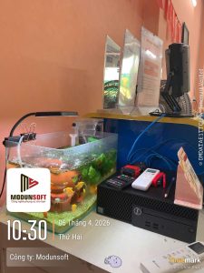 Pong ƠI Music 2 Trunng tâm piano TP Hồ Chí Minh, tiếp tục áp dụng và hướng dẫn sử dụng phần mềm quản lý trung tâm Modun với checkin Face ID và app hội viên