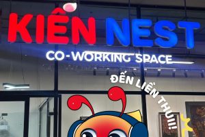 Case Study: Quản Lý Văn Phòng Chia Sẻ Kiến Nest Coworking Space Hà Nội Tự Động Bằng QR Code
