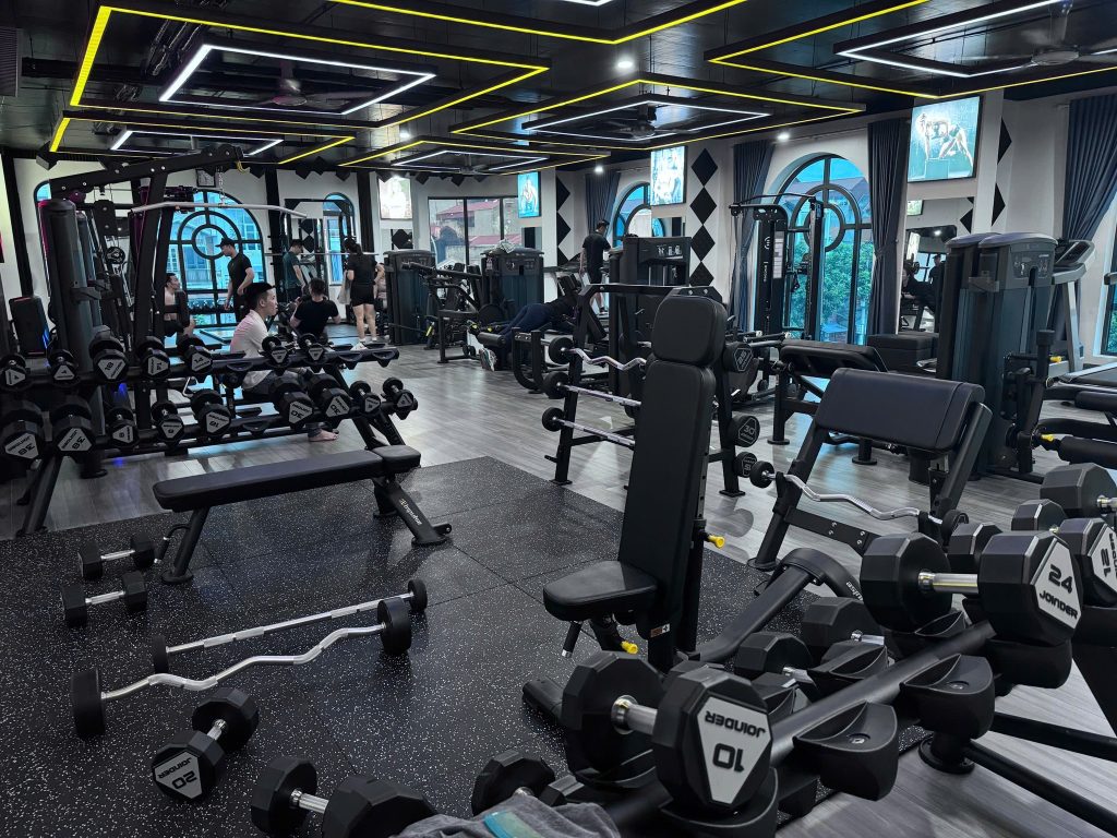 PHẦN MỀM GYM MODUN cho GYM M6 tại Hưng Yên – Xu hướng quản lý phòng tập hiện đại