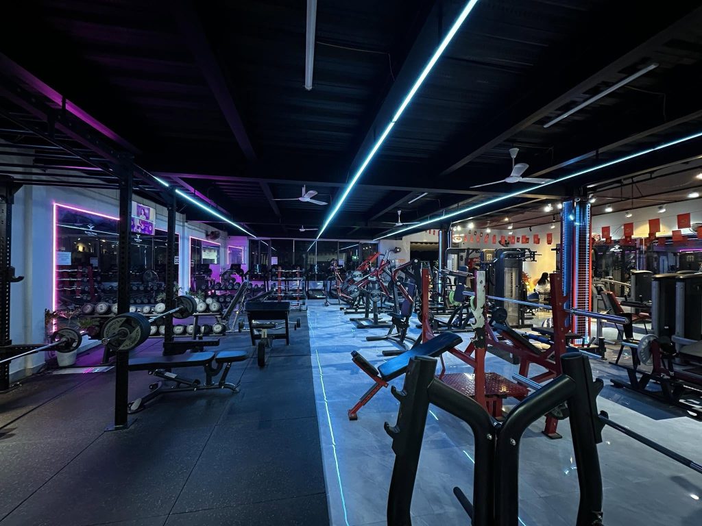 SUN GYM Nâng Cấp Phần Mềm MODUN | Quản Lý Gói Tập & Gia Hạn Online